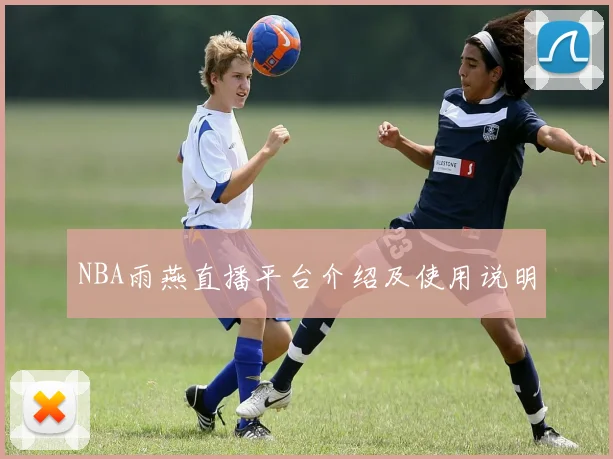 NBA雨燕直播平台介绍及使用说明