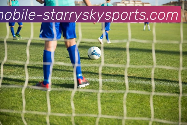 星空体育服务体系